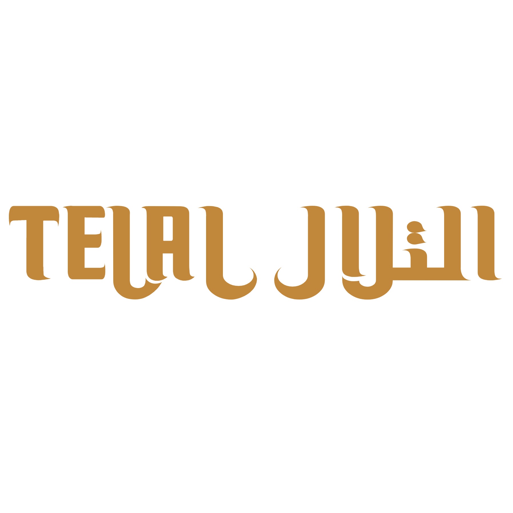 worked with Telal as content Strategist